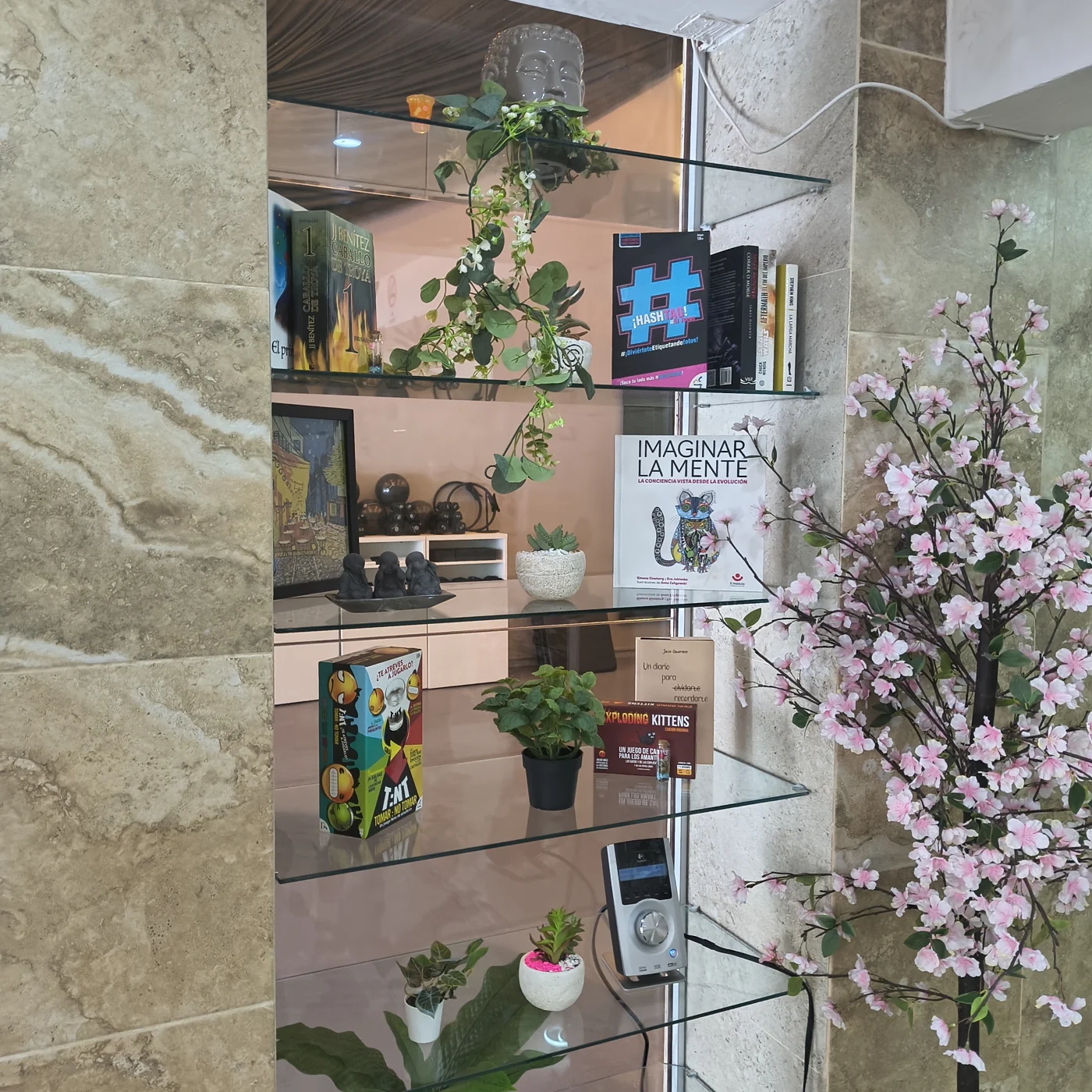 Rincón de libros, juegos y plantas de LUME